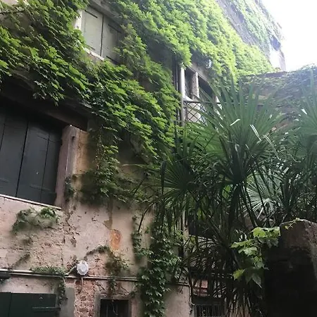 Centralissimo Tra San Marco E Palazzo Grassi Apartament *